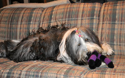 Skye playing with her scary spider